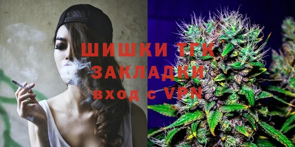 скорость Богородск