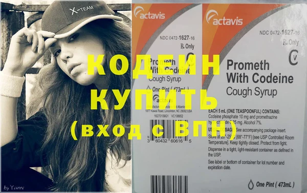 ГАЛЛЮЦИНОГЕННЫЕ ГРИБЫ Богданович