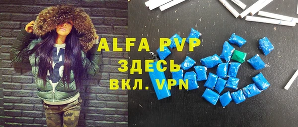 ГАЛЛЮЦИНОГЕННЫЕ ГРИБЫ Богданович