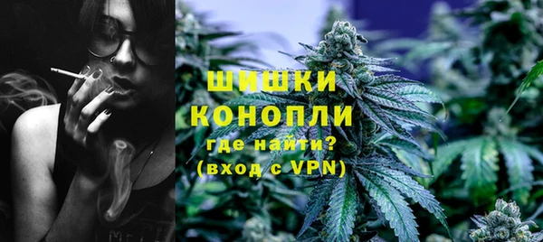 ГАЛЛЮЦИНОГЕННЫЕ ГРИБЫ Богданович
